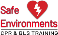 Safe Environments Logo